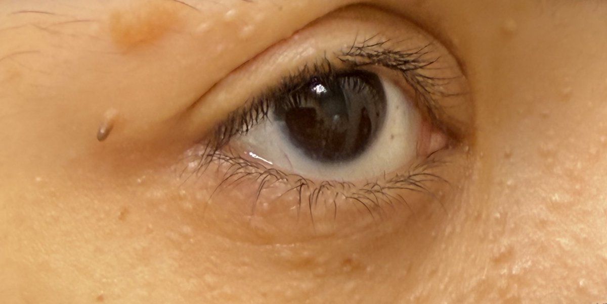 فائقة المحمودي tweet media