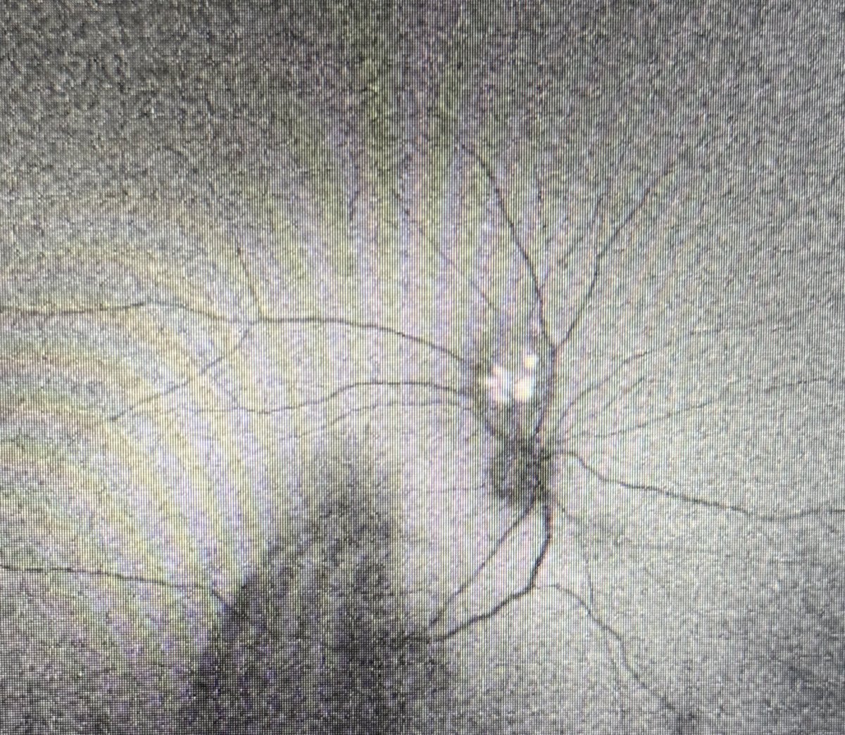 فائقة المحمودي tweet media