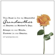 Natalie 🌹 tweet media