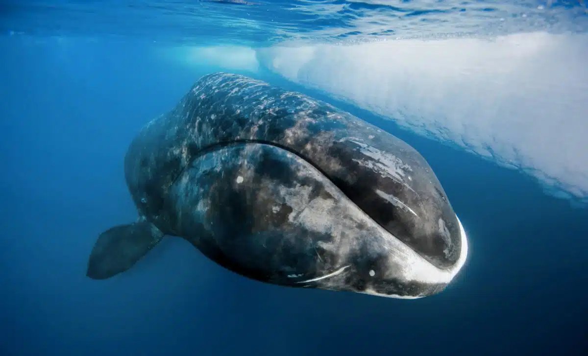 すなっちゃん@2人組の投資家 tweet media