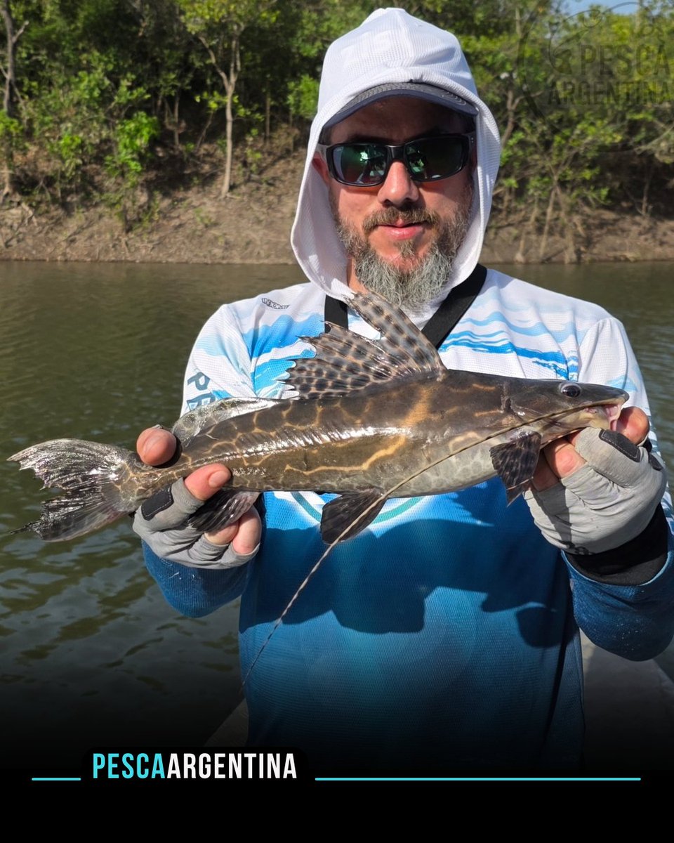 🎣 Pesca de tucunarés en Colombia
La cuenca del Orinoco es uno de los destinos más impactantes del continente para la pesca del pavón
👉 Nota completa en pescaargentina.com.ar 
#tucunare 
#pavon
#peacockbass
#pescadeportiva
#fishing
#tucunare #pavon #peacockbass #pescadeportiva