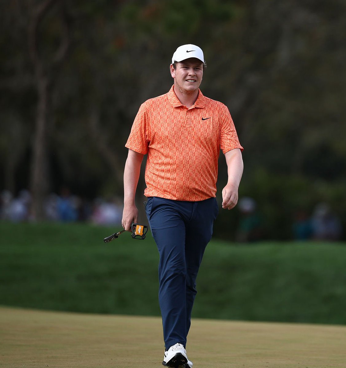 Bob MacIntyre Tracker tweet media