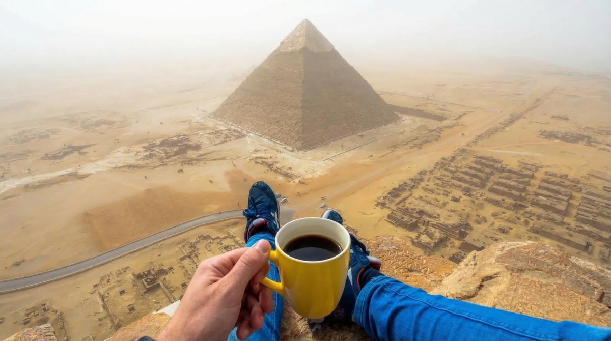 Dozer.finance tweet media