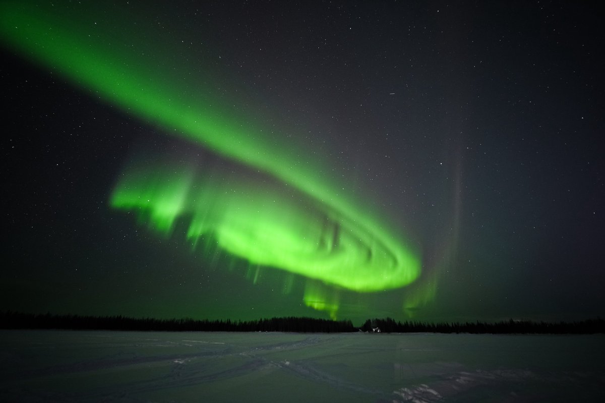 Landon Moeller tweet media