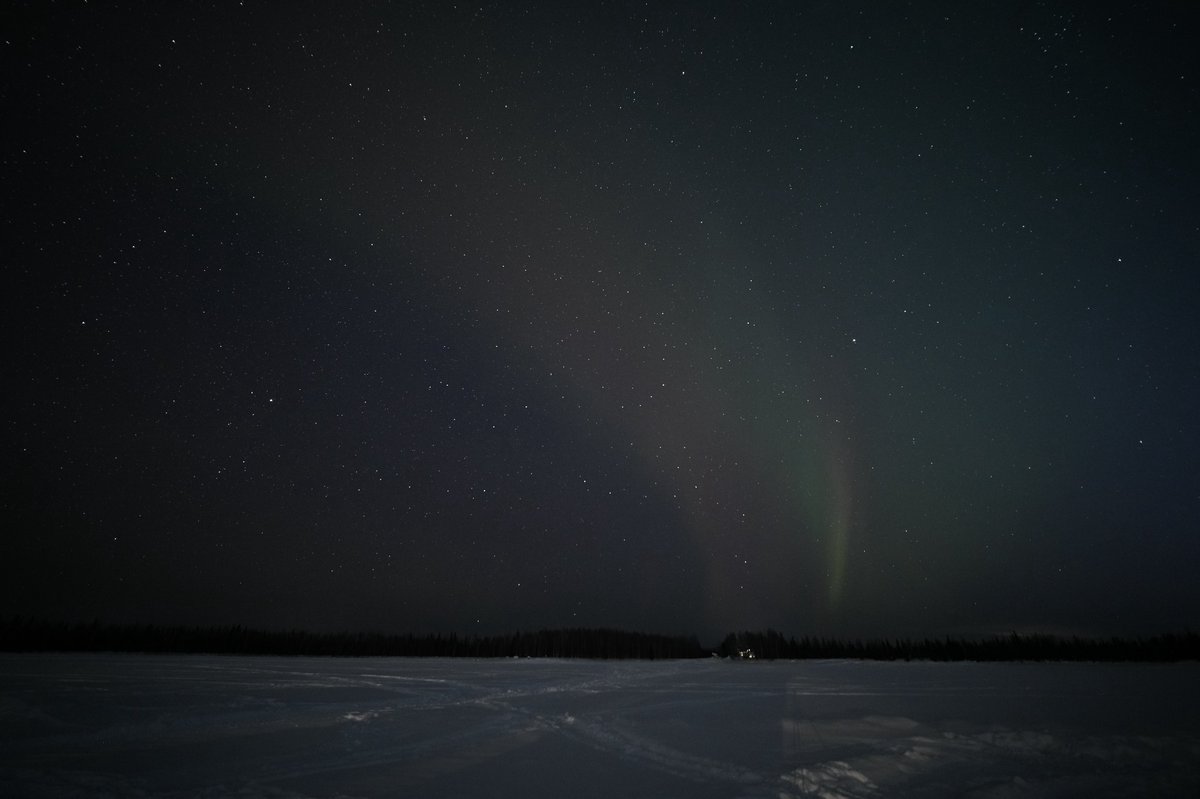 Landon Moeller tweet media