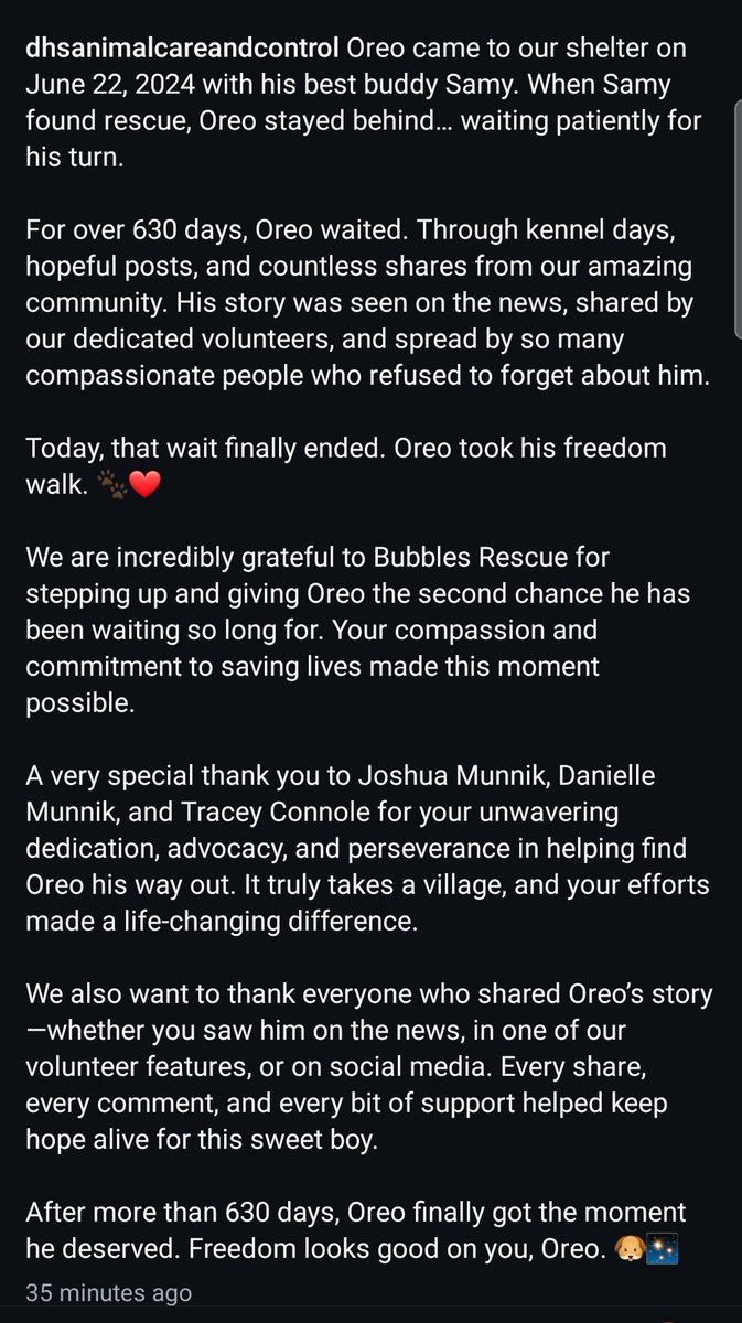 itsadogslifersq's tweet photo. OREO was #rescued from the desert heat after 630 days at #DesertHotSprings ACC by
bubblesdogrescue ❤
Will update with their freedom video as it becomes available.
Yay for sweet OREO!
#California #CA do it like Desert Hot Springs ACC: #GoNoKill ‼ https://t.co/CVgXnSbiYI