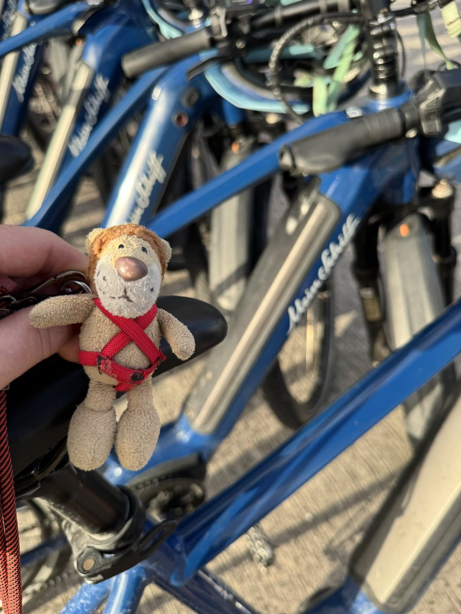 Die Kaua aus Hamm / Westfalen tweet media