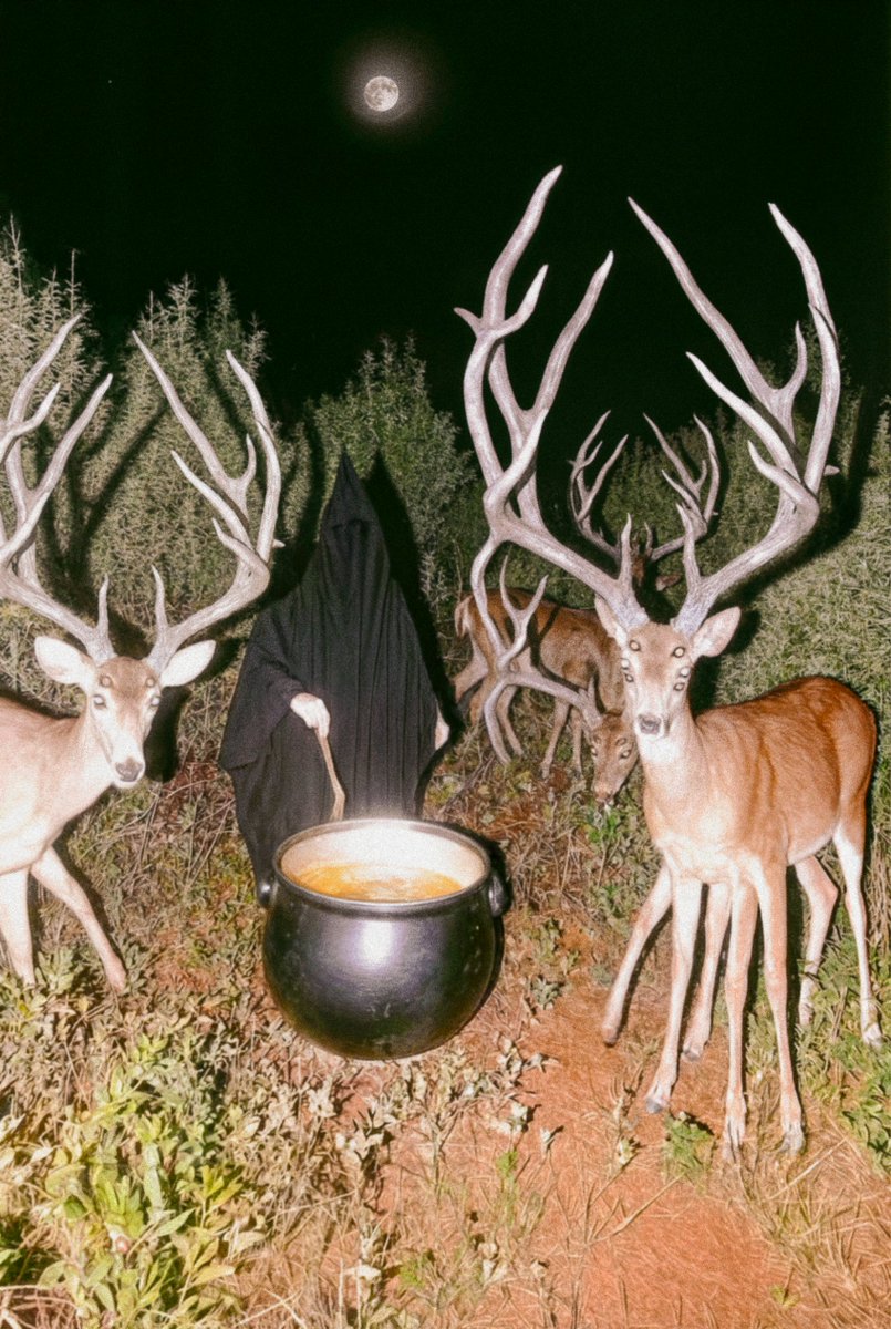 Finn McKenty tweet media