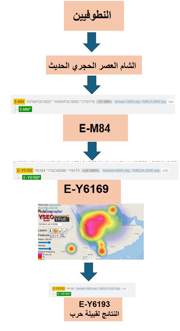 tmooofi's tweet photo. في العادة أحاول التجنب أي صراعات ، ولكن في الاونة الأخيرة لحظنا تدليس و كذب يمارس على التحور E-M84  و التحور الجيني التي لقبيلة حرب نتائج عليه ،وسيتم ��لتوضيح لبعض الجهلاء الذين يلقنوهم أشخاص بمعلومات ضالة و القصد بها الفتنة في هذه الأيام المباركة والله المستعان.

في البداية التحور الحجازي E-Y6193 يعد من الأسلاف المباشرين للنطوفيين الذين عاشوا في فترة العصر الحجري الحديث ، وهؤلاء النطوفيين عند تحليلهم لم يكتشف بهم المكون الأفريقي SSA كما صرح العالم لازرديس في دراسته المنشورة عام 2016 (الصورة المرفقة).