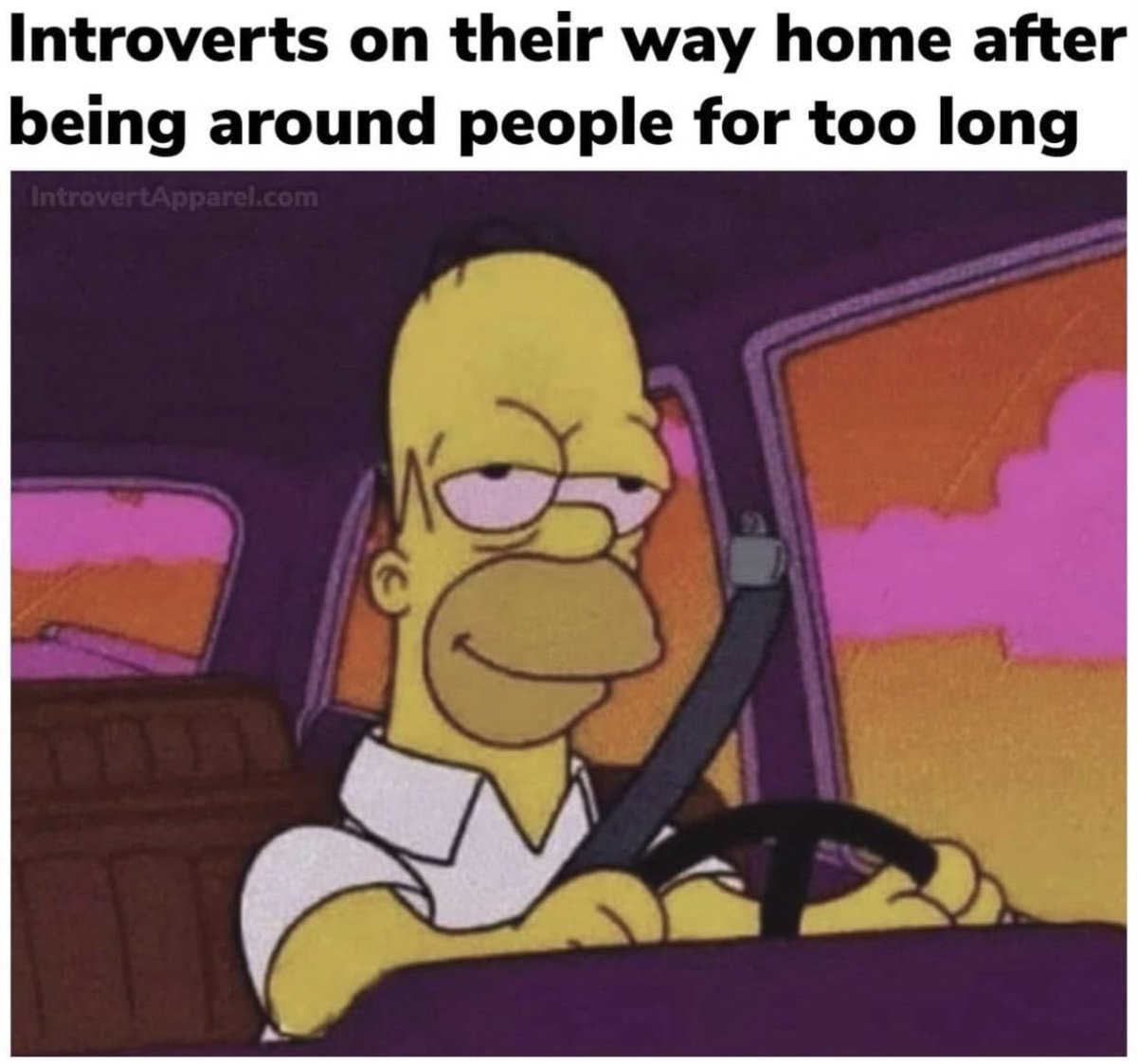 All About Introverts tweet media