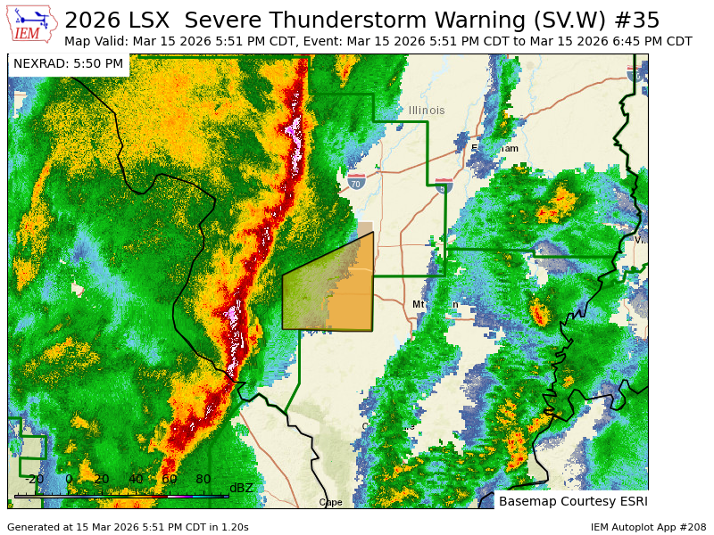 Haley Fitzpatrick tweet media