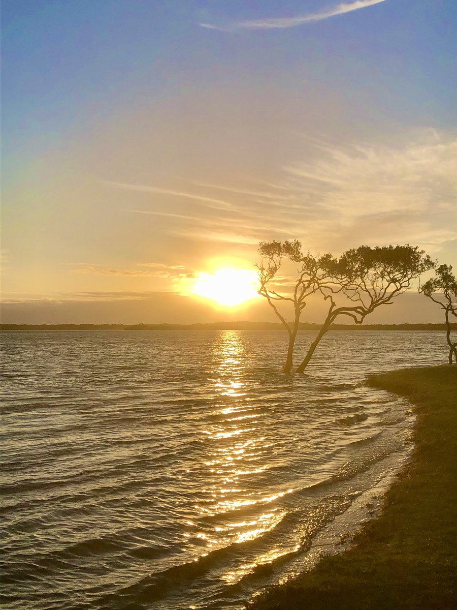 Bob Longworth tweet media