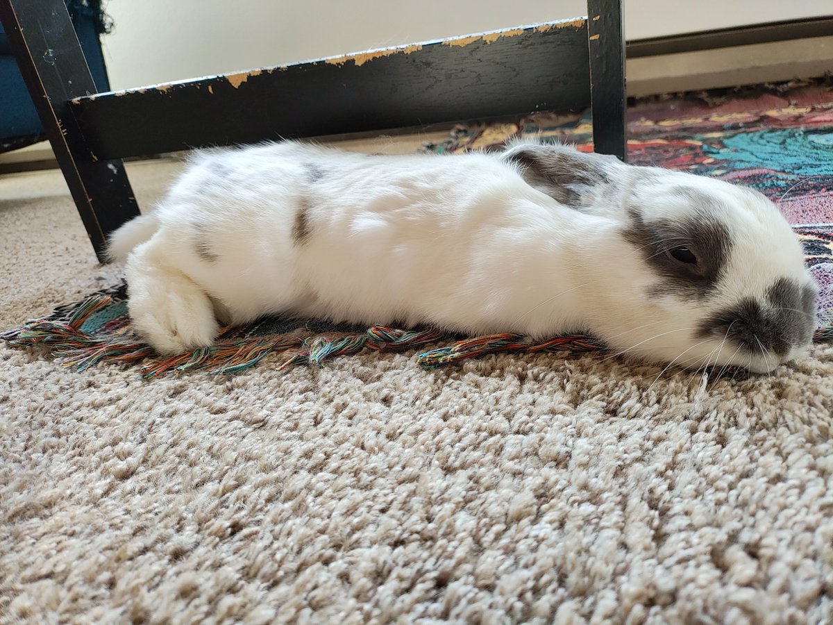 Princess Sephiroth 🍉 tweet media