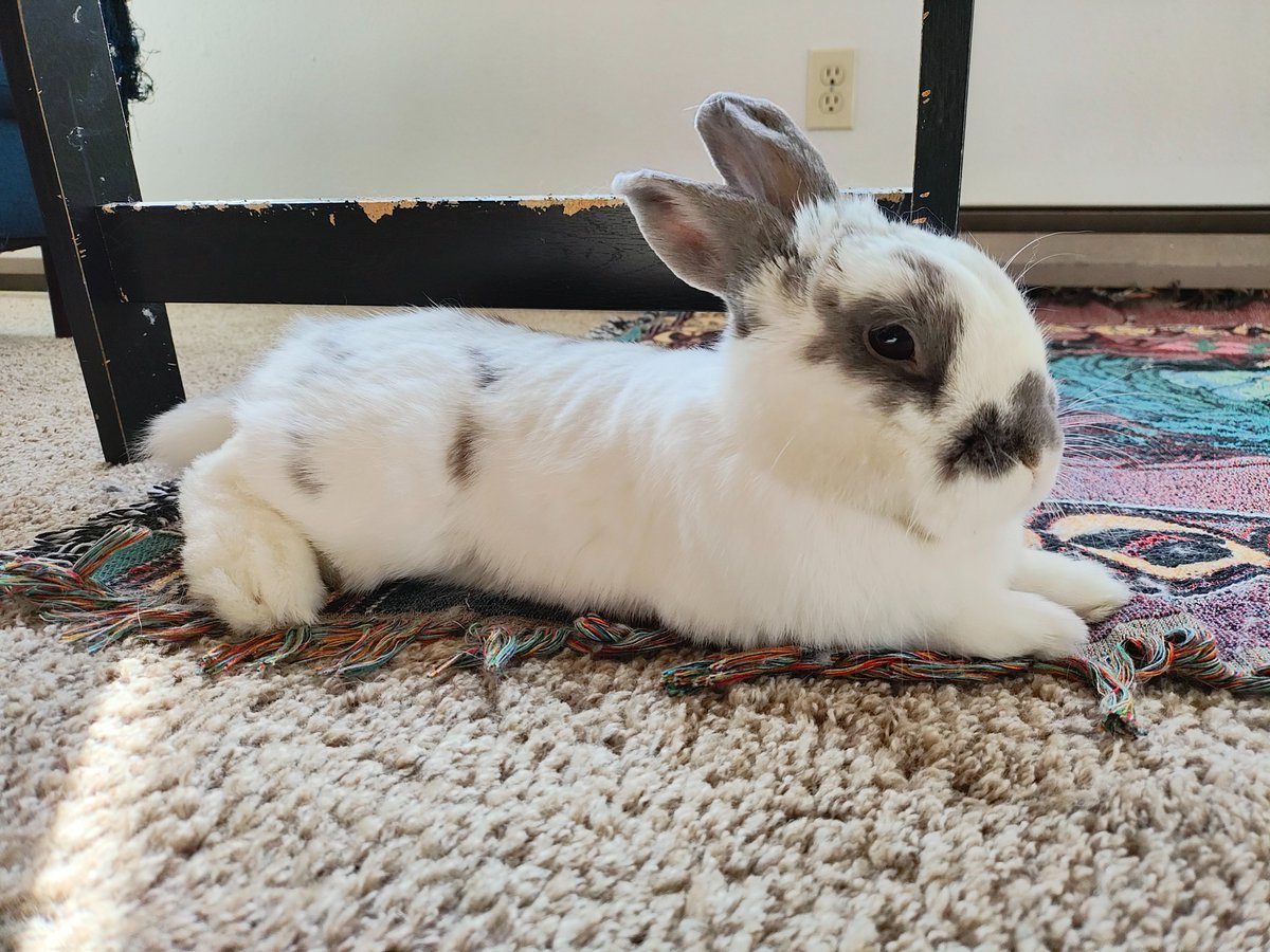 Princess Sephiroth 🍉 tweet media