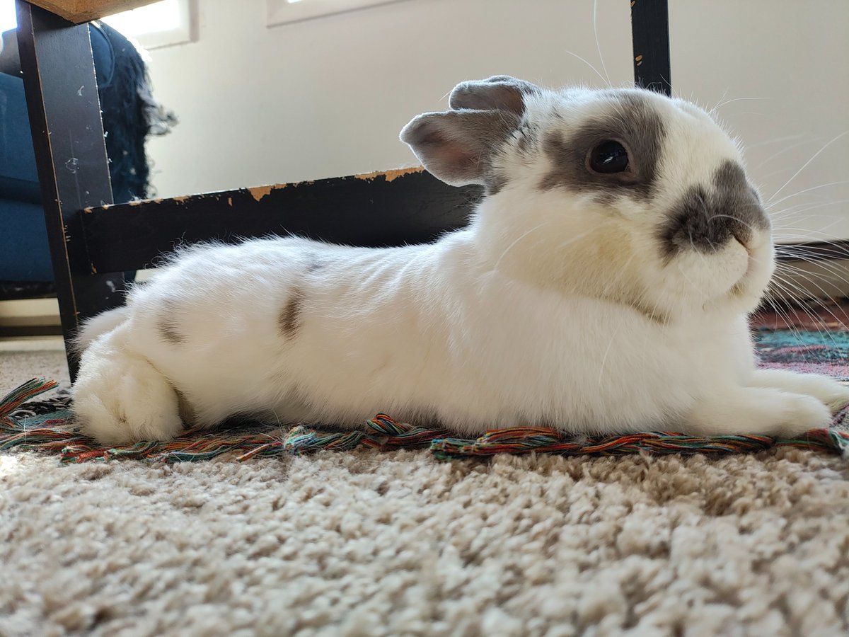 Princess Sephiroth 🍉 tweet media