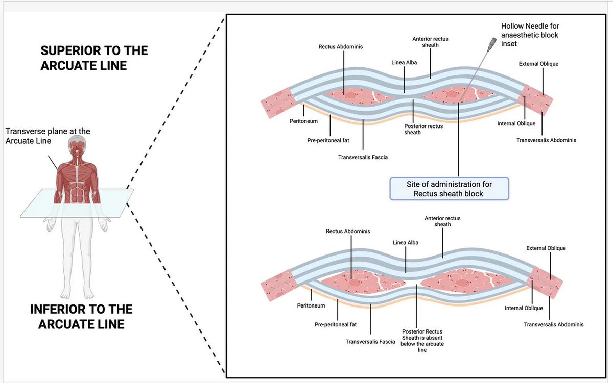 Critical Care Reviews tweet media