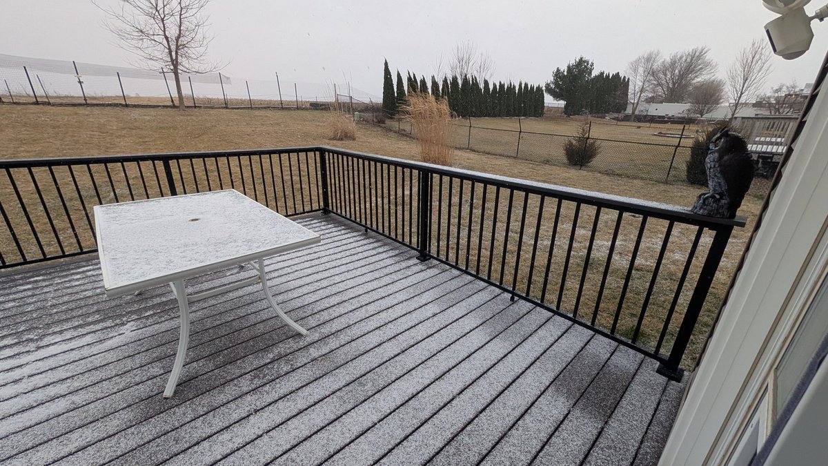 Mike Graber tweet media