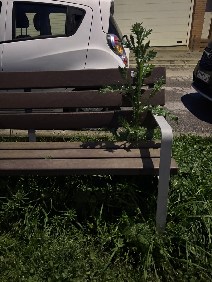 Aliança Catalana - Roda de Ter tweet media