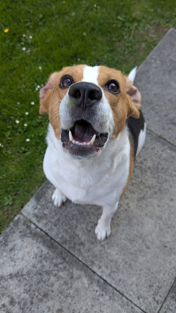 chirp 🌥️ tweet media