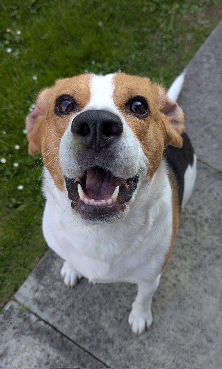 chirp 🌥️ tweet media