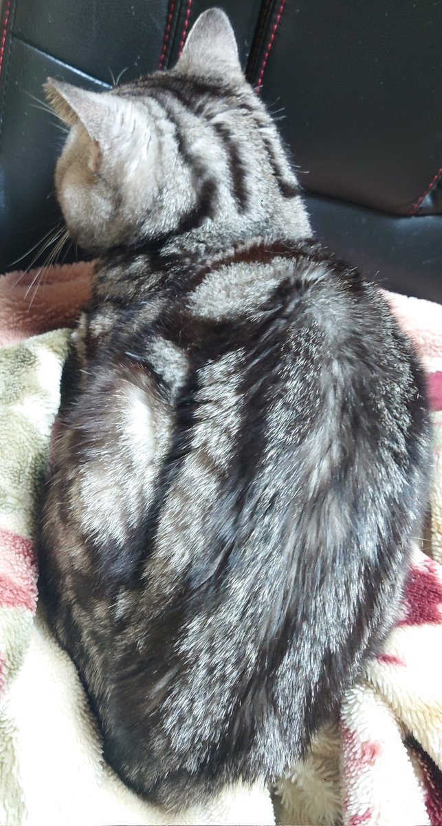 おはようございなす🍆

今更な報告ではありますがTiktokのアカウントは先月非公開にしております🙂‍↕️
絶賛11連勤の最中なのでとりあえず生き残ってきます(:3_ヽ)_ﾀﾞﾙｰ