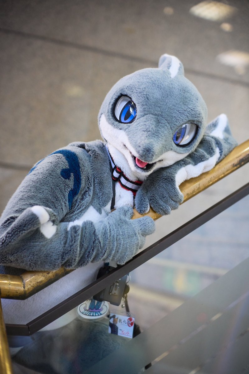 VINT👤/SURIMI🦈 Shikimi🐉 tweet media