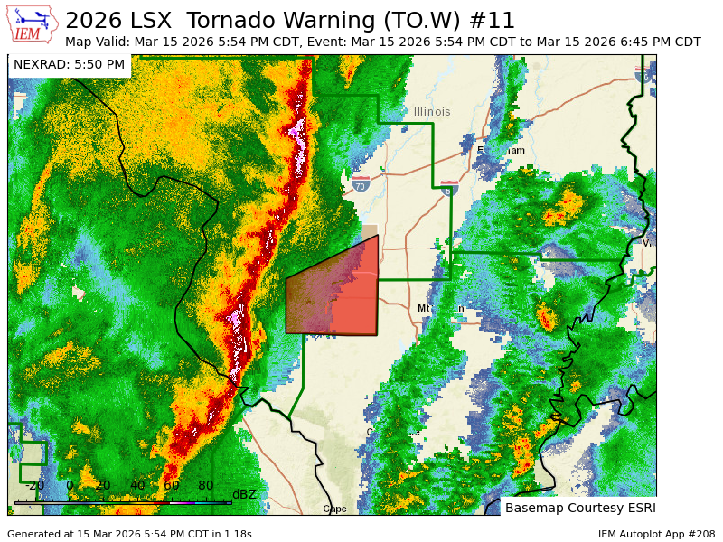Haley Fitzpatrick tweet media