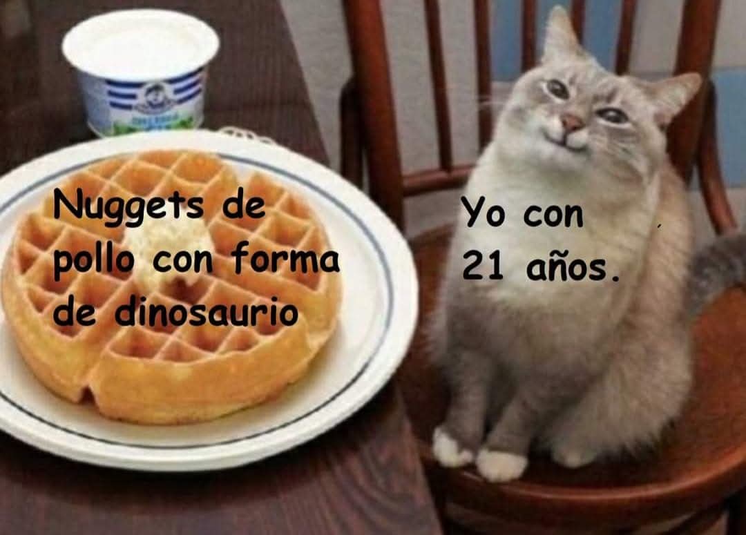 Animalitos en aprietos. tweet media