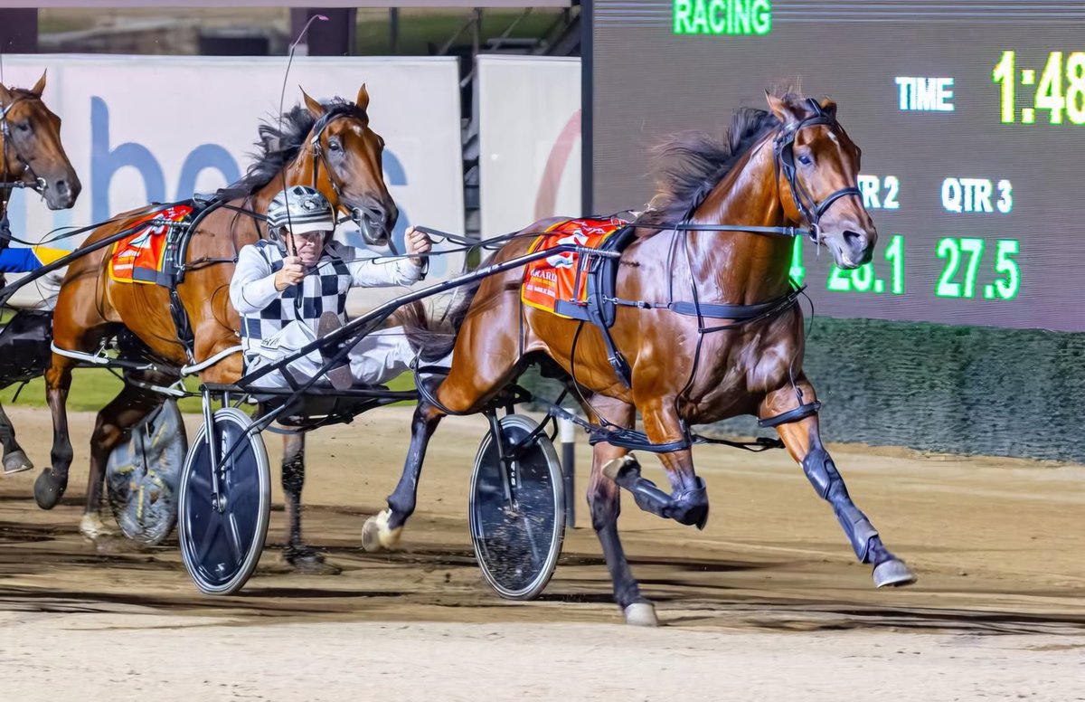 David Tapp tweet media