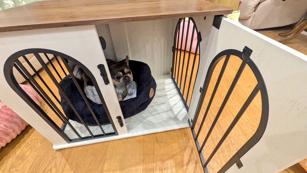 Tori Thaiga🐯🍳✧Foodie VtuberꔫMOE!Liveꔫ tweet media