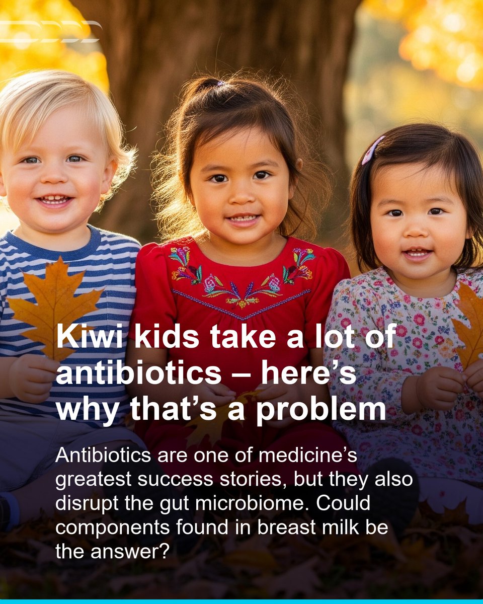 AucklandLiggins's tweet photo. Kiwi kids take a lot of antibiotics – here’s why that’s a problem. Antibiotics are one of medicine’s greatest success stories, but they also disrupt the gut microbiome. Could components found in breast milk be the answer? Prof Wayne Cutfield @NewsroomNZ  https://t.co/FlVTjuCVVv https://t.co/Rpooe0Q9Sg
