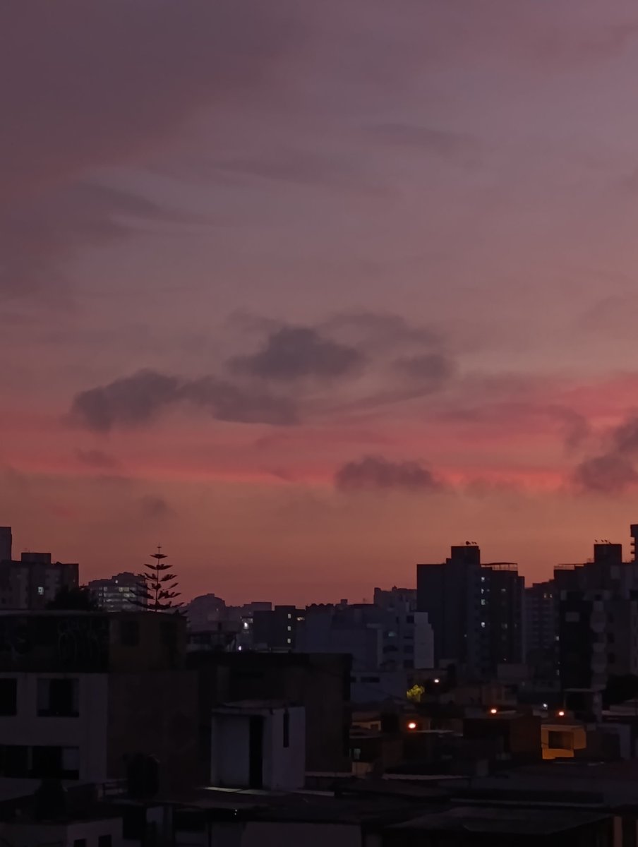 Adita 🇵🇪 tweet media