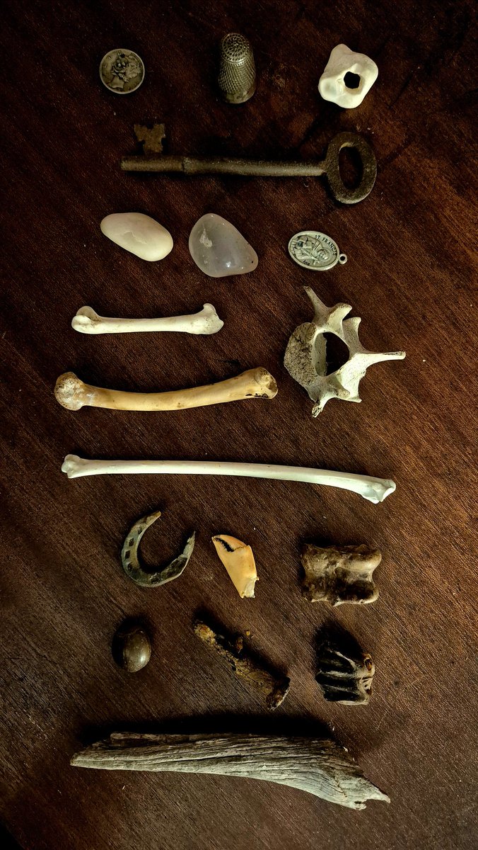 Books Landscape Magic tweet media