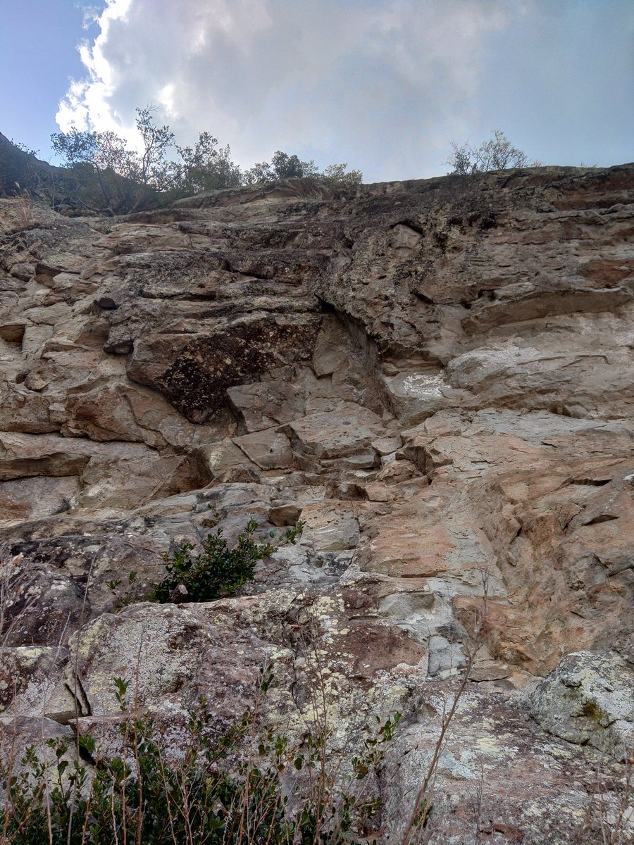 クラッシャー･サトー tweet media