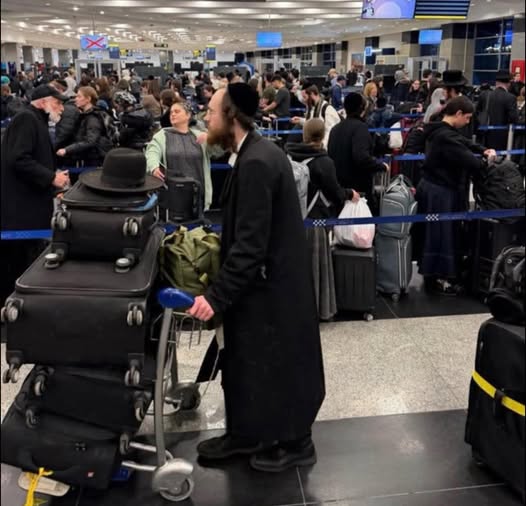 fari1722 tweet media