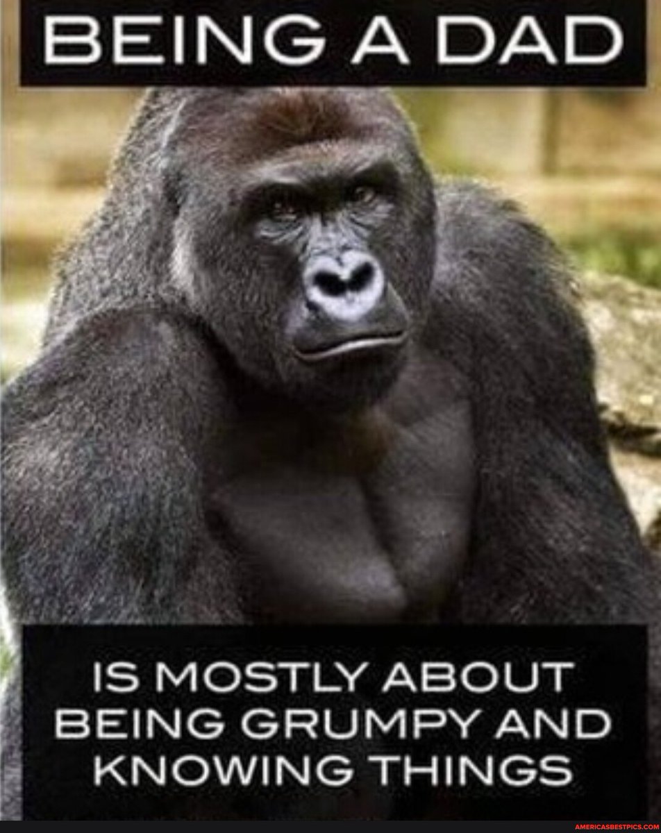 DotyStephan's tweet image. #being #dad #ff 
americasbestpics.com/picture/6dGQYa…
#AmericasBestPicsAndVideos