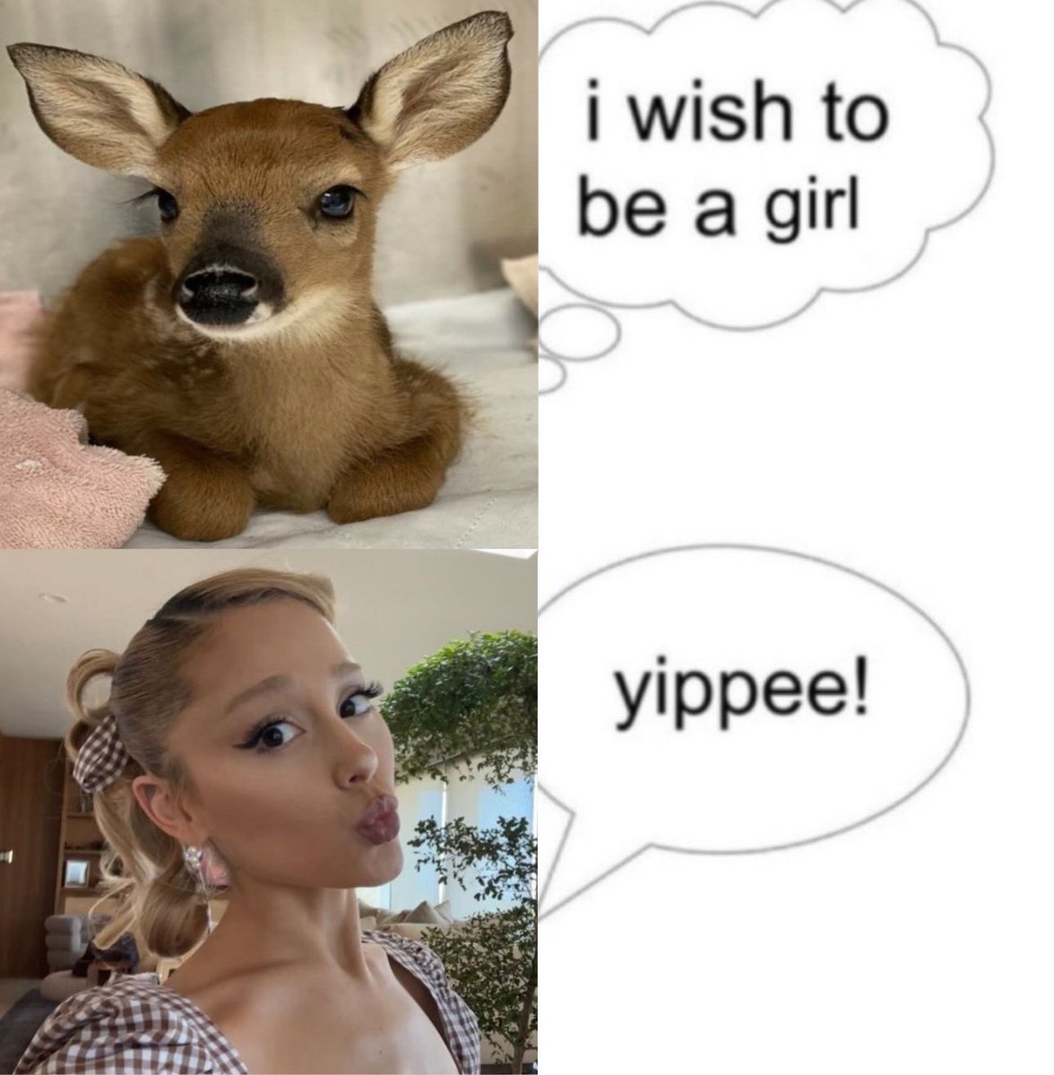 futch ariana grande tweet media