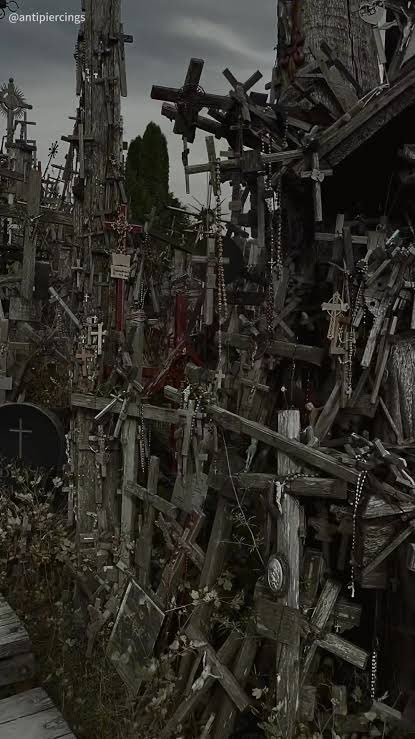 Big Ketamine tweet media