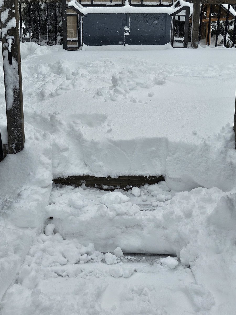 Renee⁷ ⟭⟬E ARE B⟬⟭CK ∞ ⊙⊝⊜ 𝑨𝑹𝑰𝑹𝑨𝑵𝑮🔍⍤⃝🔎 tweet media