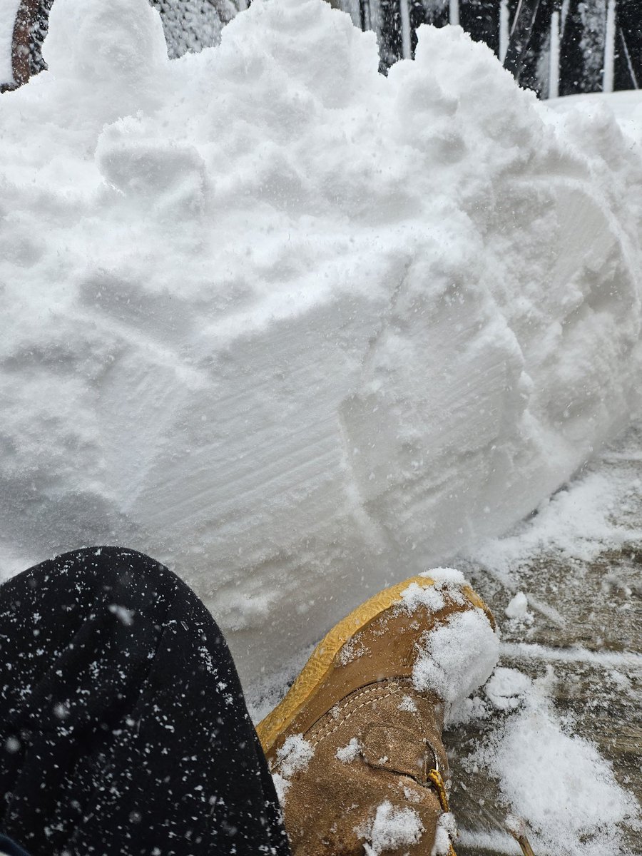 Renee⁷ ⟭⟬E ARE B⟬⟭CK ∞ ⊙⊝⊜ 𝑨𝑹𝑰𝑹𝑨𝑵𝑮🔍⍤⃝🔎 tweet media