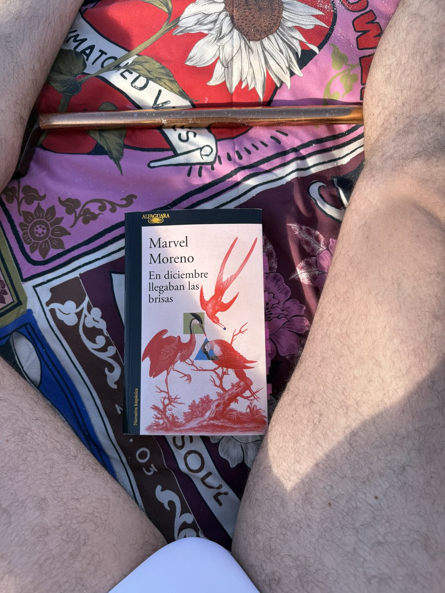 David Pérez Arias tweet media