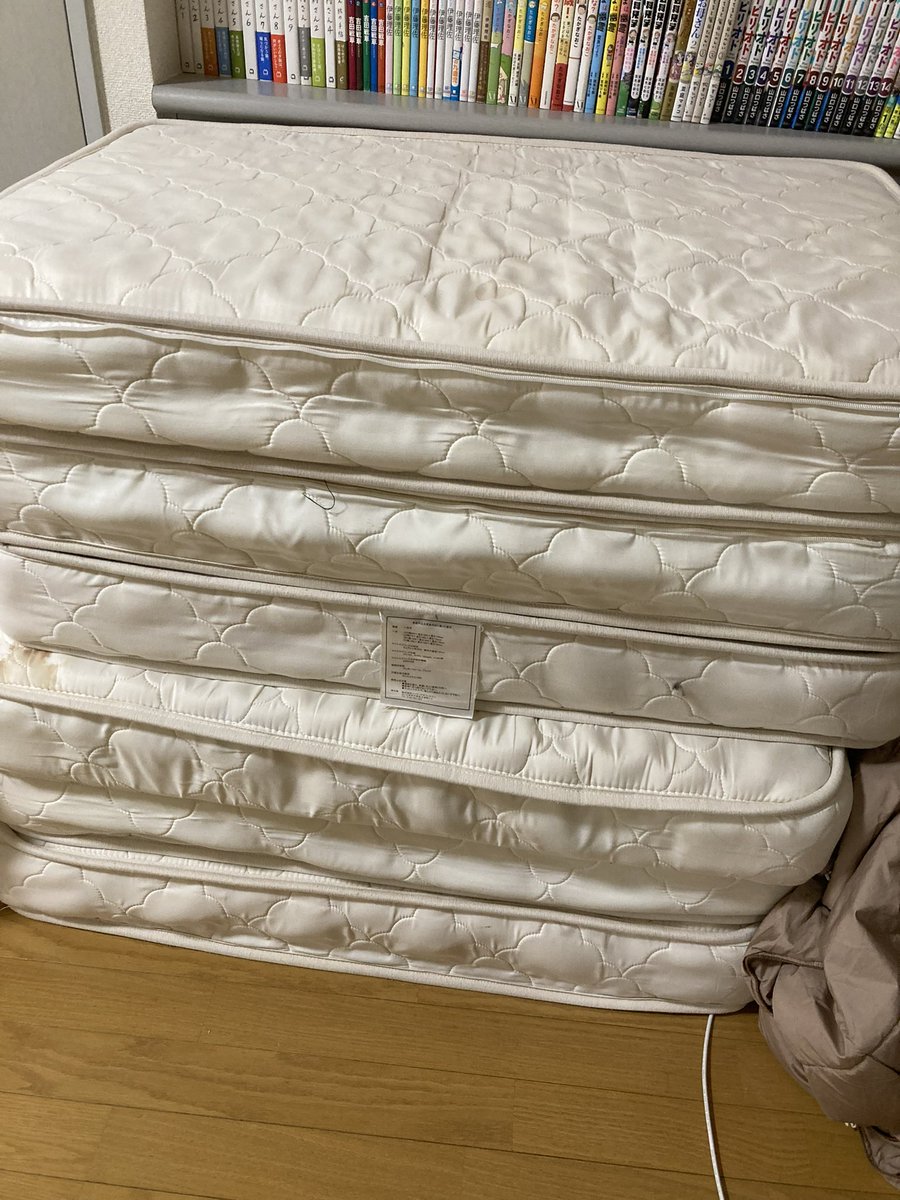 【今日のごみトリビア】
スプリング入りのベッドマットは処理困難物に指定されているので、徐々に捨てられない自治体が増えています。これから買う方は、捨てる時には業者に引き取ってもらわないと処理できなくなるかもしれないので、参考にしてみてください！