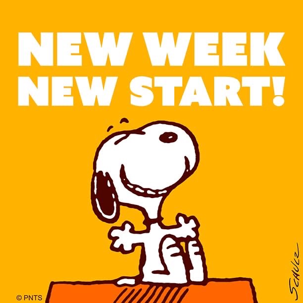 Jane_Arthur_'s tweet photo. Alarm set, packed lunch made along with my ice packs for my knee 🤦🏻‍♀️ Back to work - starting my phased return tomorrow - wish me luck! 🫣#newweeknewstart #newkneenewme 🤞🏼🤞🏼🤞🏼 https://t.co/R6xRYhCIvz