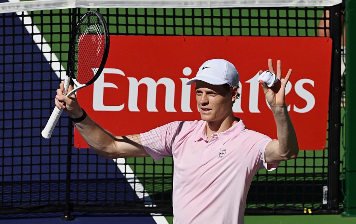 José Morgado tweet media