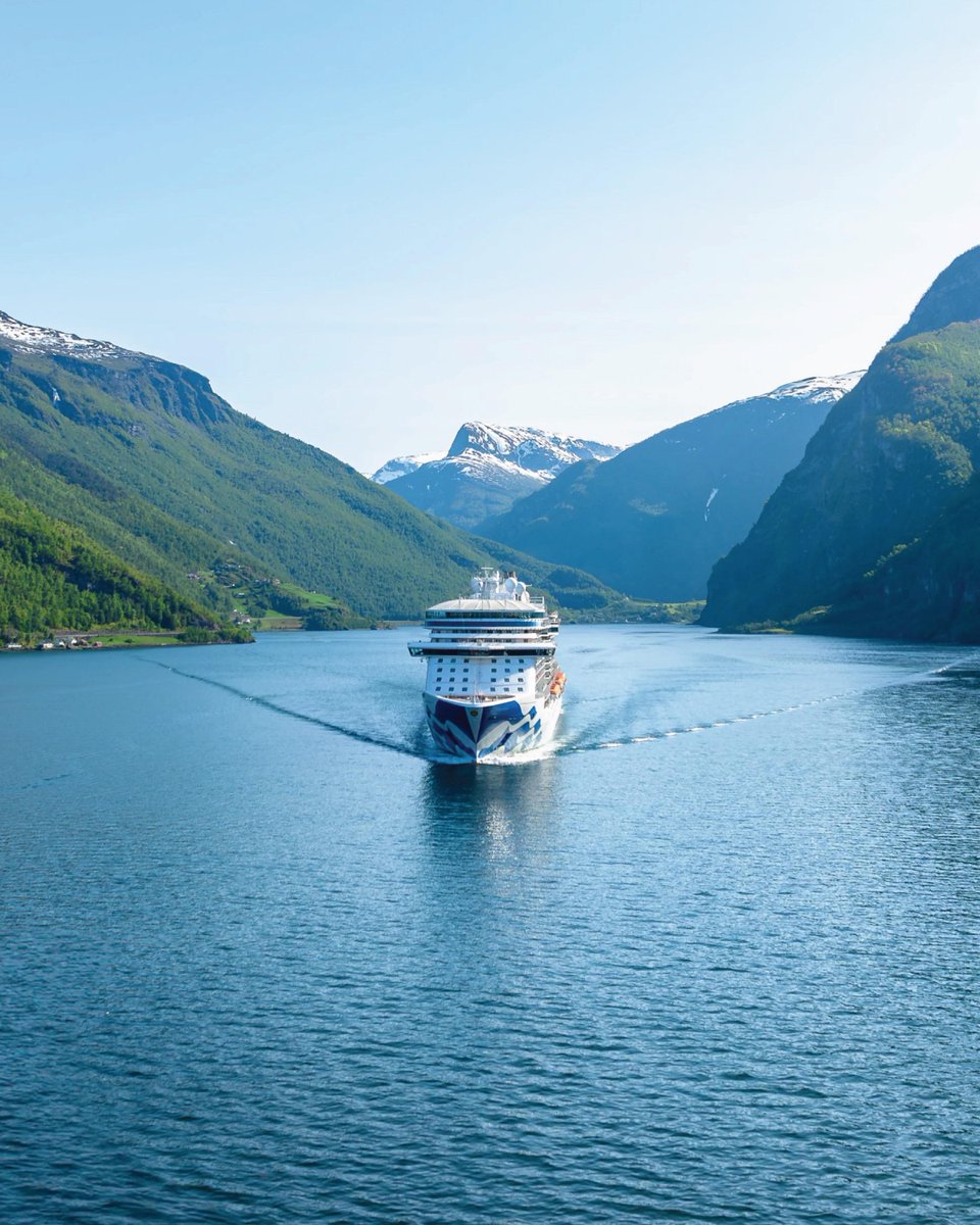 Princess Cruises tweet media