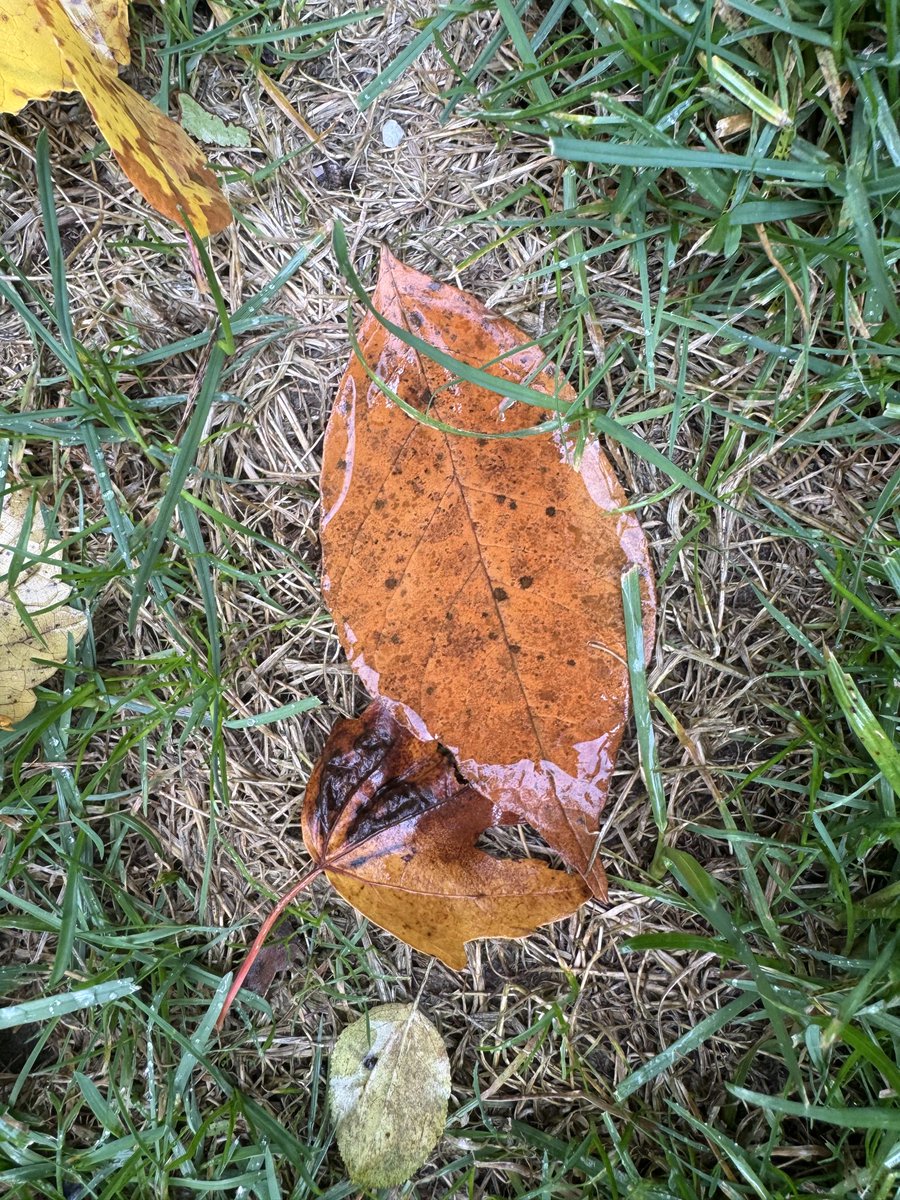 AJ Nunya tweet media