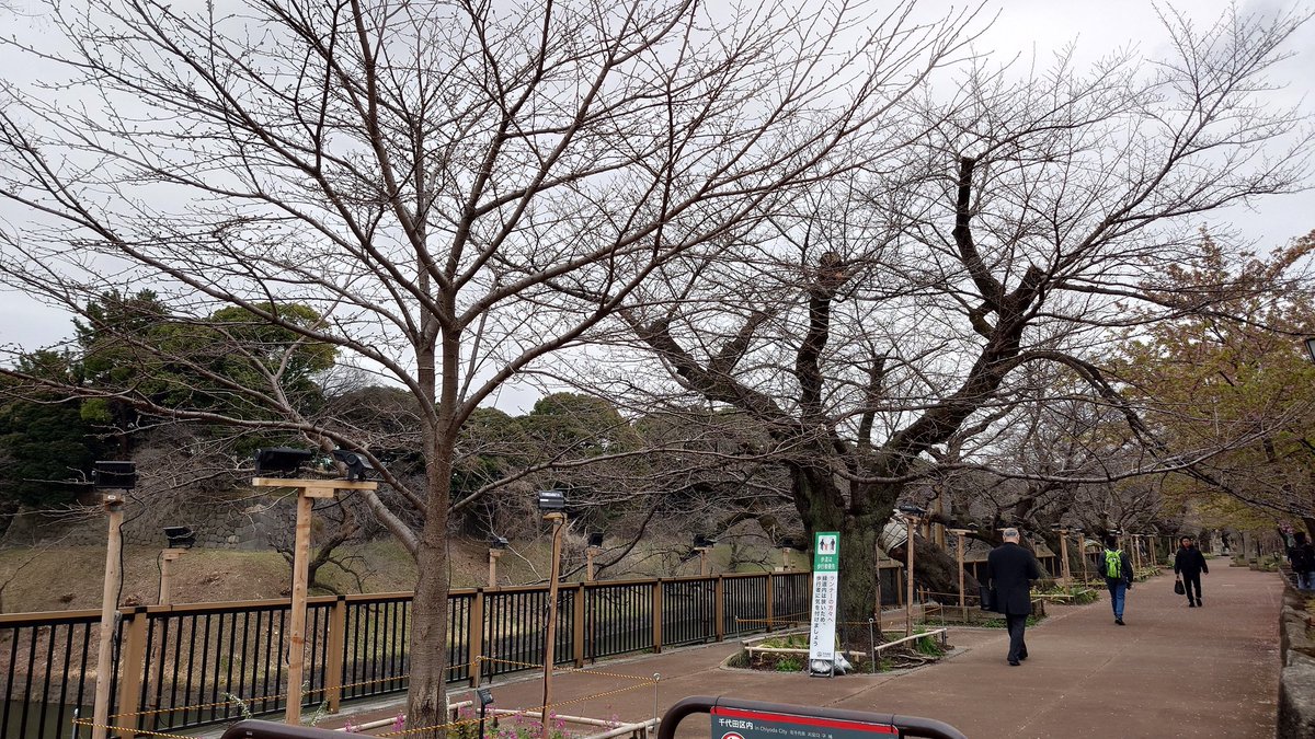 なべりんぐ tweet media