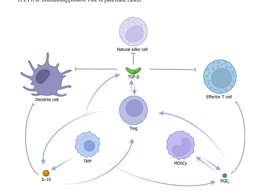 exosome's tweet photo. Tumor microenvironment shuts down immune responses against #cancer

You know what fixes the tumor microenvironment?

#Anktiva by $IBRX....thats what 

https://t.co/8cGExbmX2y https://t.co/LI0eOiNOm7