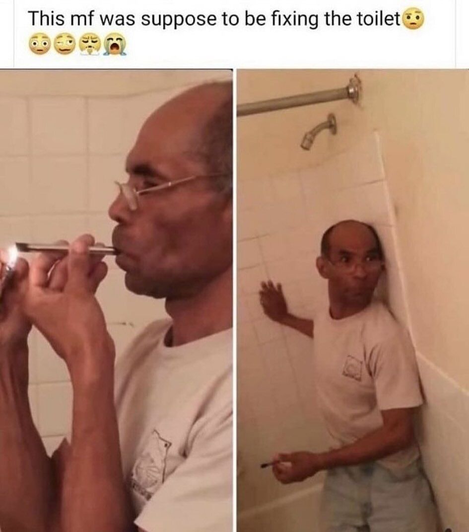 Braindead Bird App tweet media