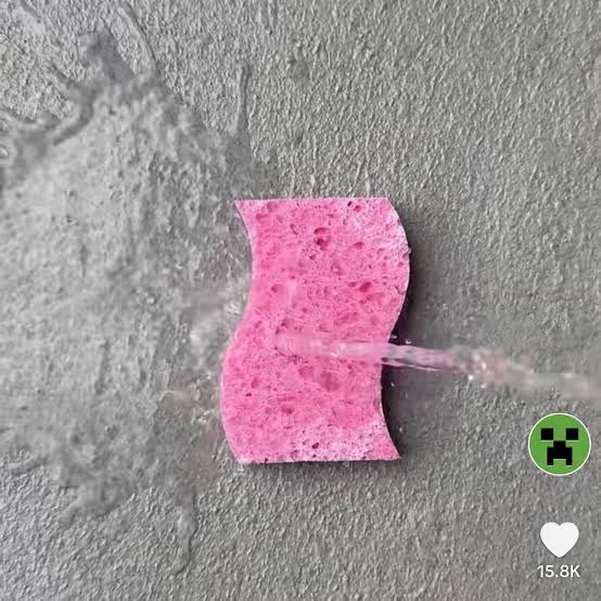 wattles 💎 tweet media